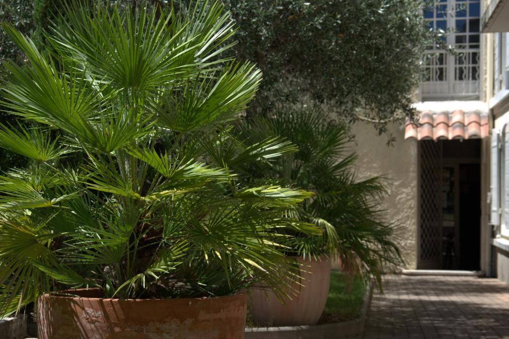 Hotel Du Cheval Blanc Saint-Rémy-de-Provence Kültér fotó